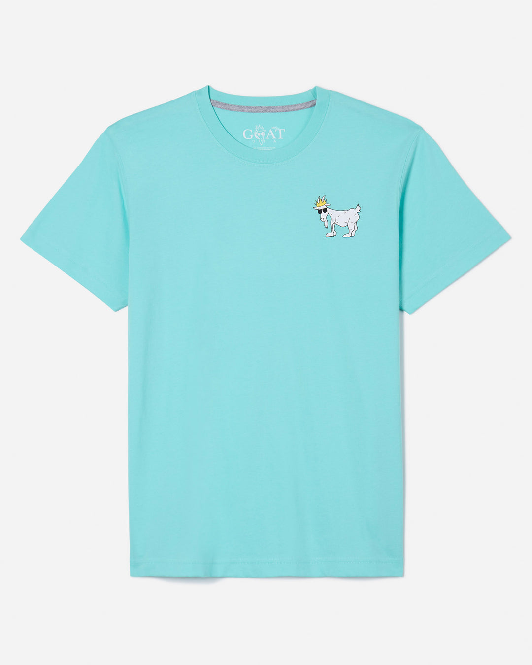 Front of aqua sky WG T-Shirt#color_aqua-sky