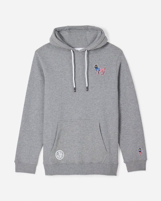 Front of gray Freedom Hooded Sweatshirt#color_gray