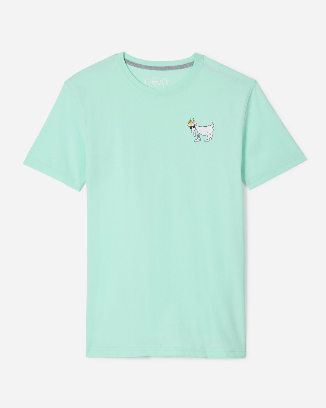 Front of mint WG T-Shirt#color_mint